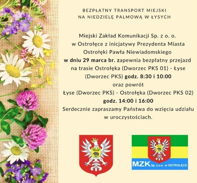 Specjalne kursy autobusów MZK na Niedzielę Palmową w Łysych