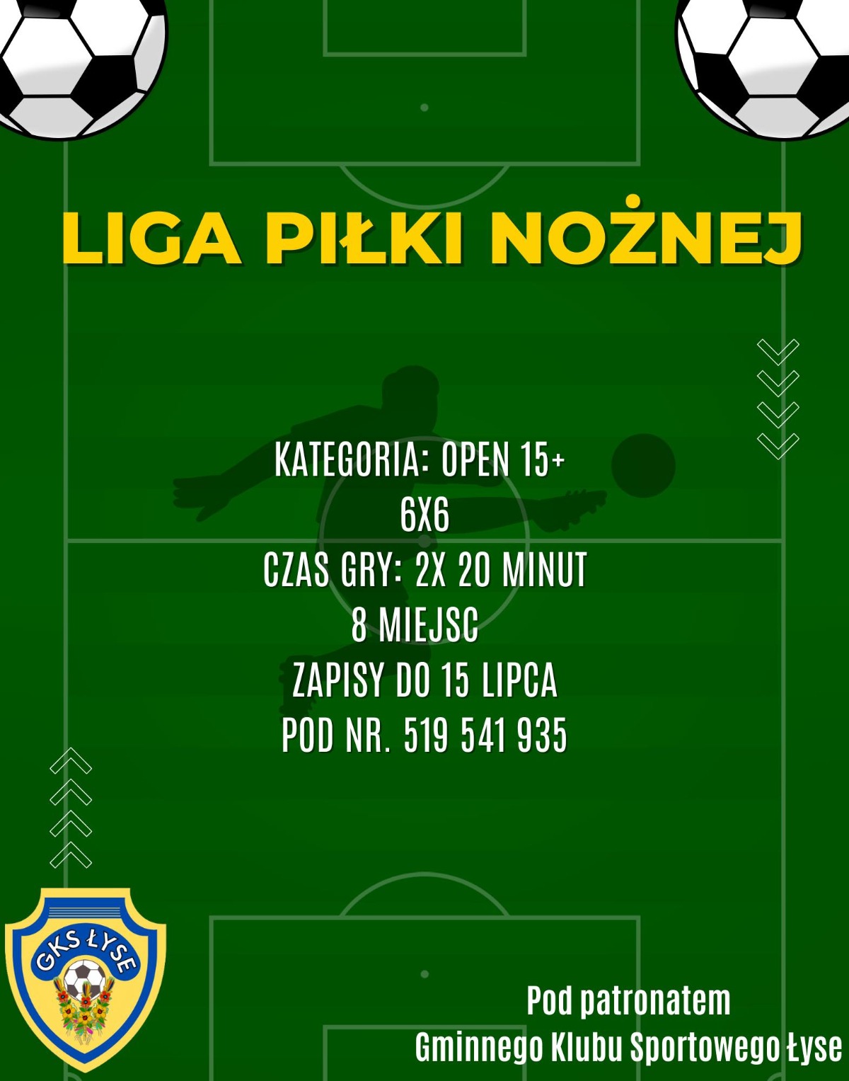LIGA PIŁKI NOŻNEJ