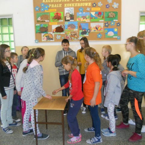 Powiększ obraz: 
