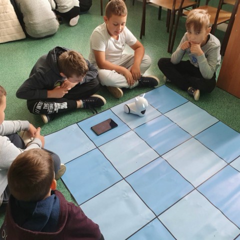 Powiększ obraz: 