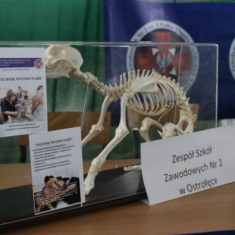 Powiększ obraz: 