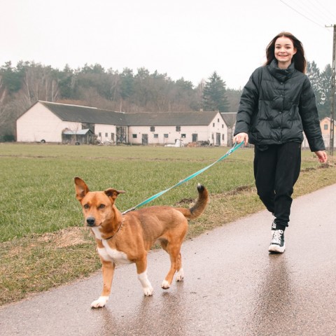 Powiększ obraz: 