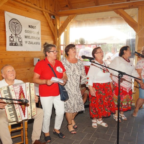 Powiększ obraz: 