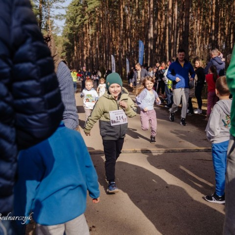 Powiększ obraz: 