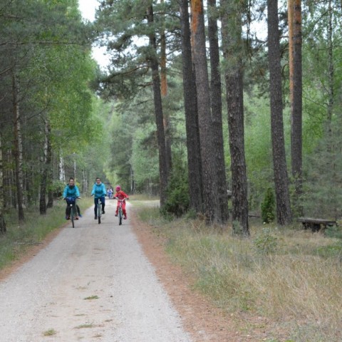 Powiększ obraz: 