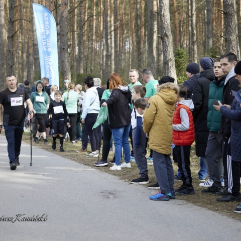 Powiększ obraz: 