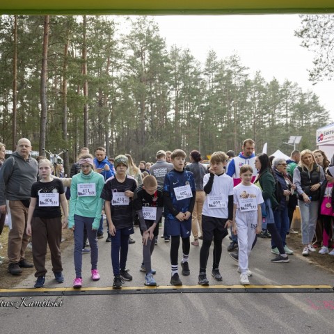 Powiększ obraz: 