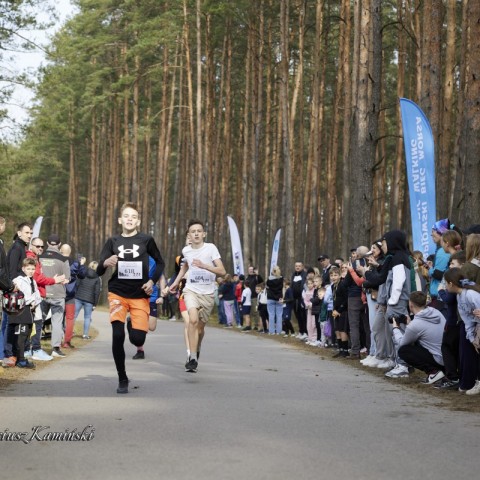 Powiększ obraz: 