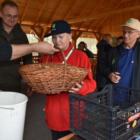 Powiększ obraz: 