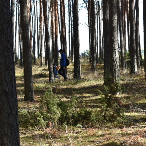 Powiększ obraz: 