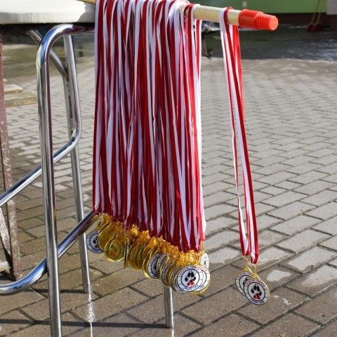 Powiększ obraz: 