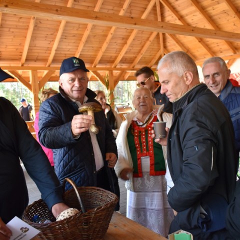 Powiększ obraz: 