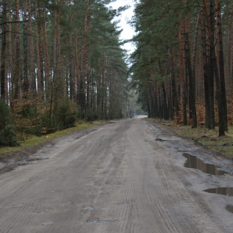 Powiększ obraz: 