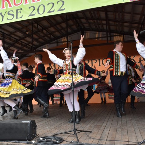 Powiększ obraz: 