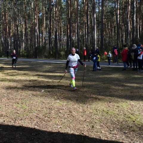 Powiększ obraz: 