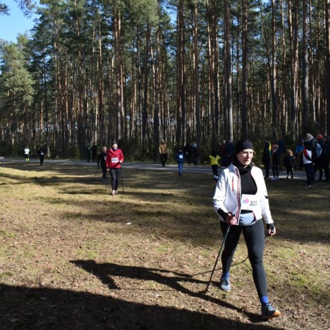 Powiększ obraz: 