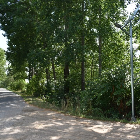 Powiększ obraz: 