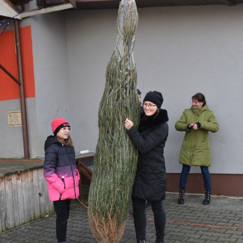 Powiększ obraz: 