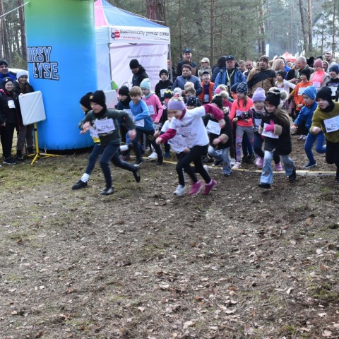 Powiększ obraz: 