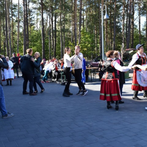 Powiększ obraz: 