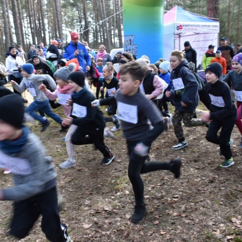 Powiększ obraz: 