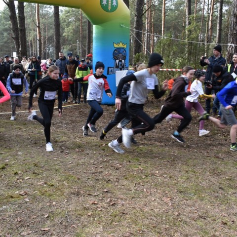 Powiększ obraz: 