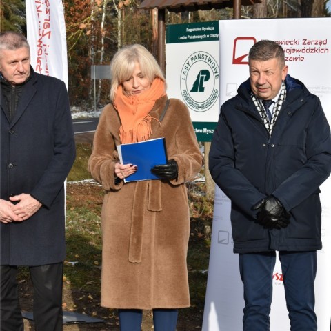 Powiększ obraz: 