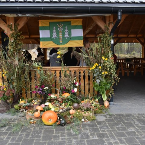 Powiększ obraz: 