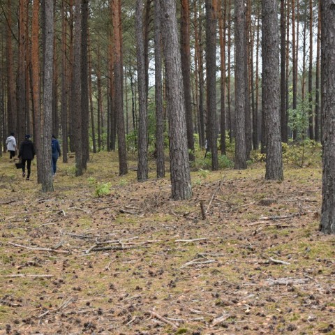Powiększ obraz: 