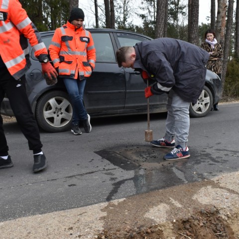 Powiększ obraz: 