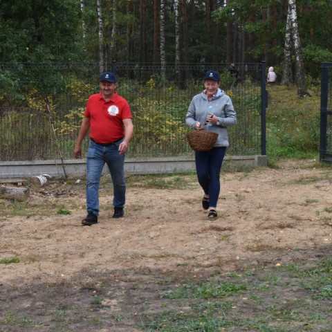 Powiększ obraz: 