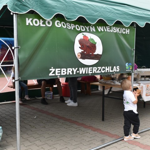 Powiększ obraz: 