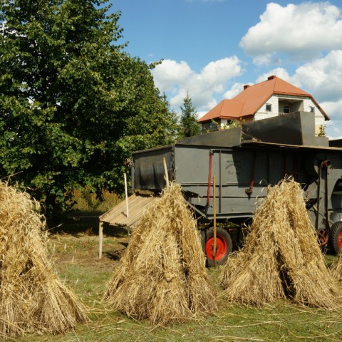 Powiększ obraz: 