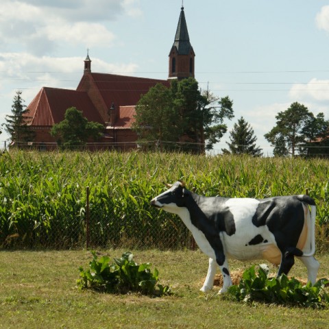 Powiększ obraz: 