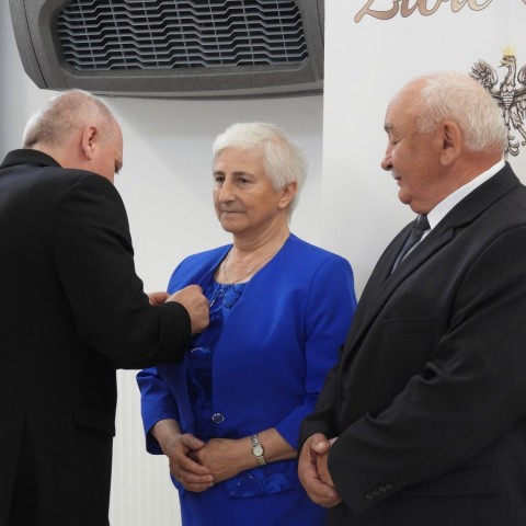 Powiększ obraz: 