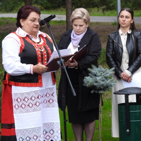 Powiększ obraz: 