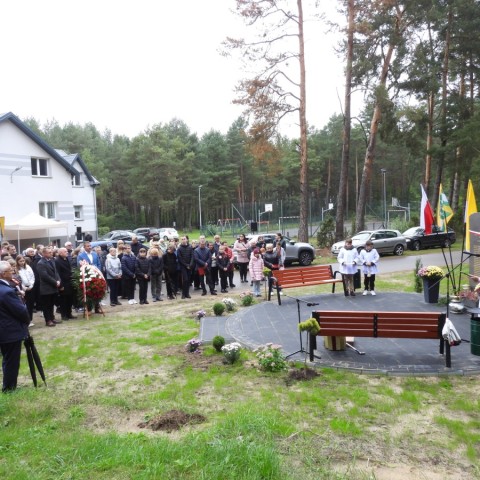 Powiększ obraz: 