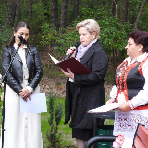 Powiększ obraz: 