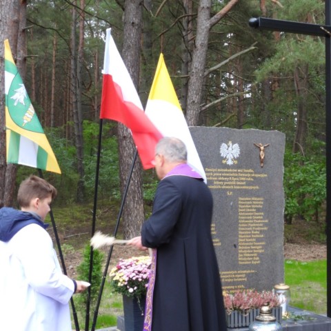 Powiększ obraz: 