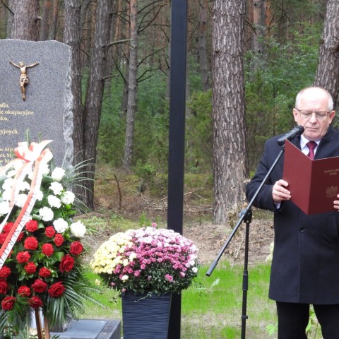 Powiększ obraz: 