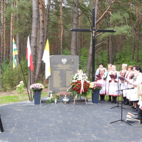 Powiększ obraz: 