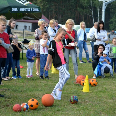 Powiększ obraz: 