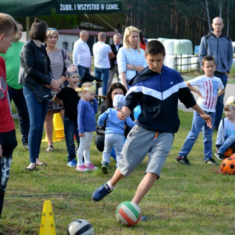 Powiększ obraz: 
