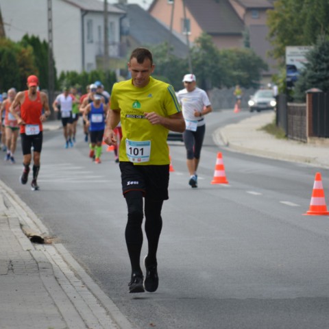 Powiększ obraz: 
