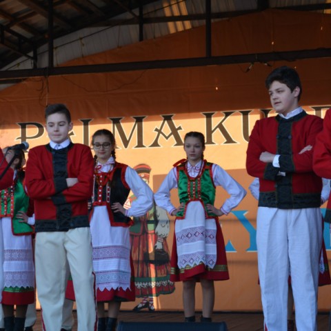 Powiększ obraz: 