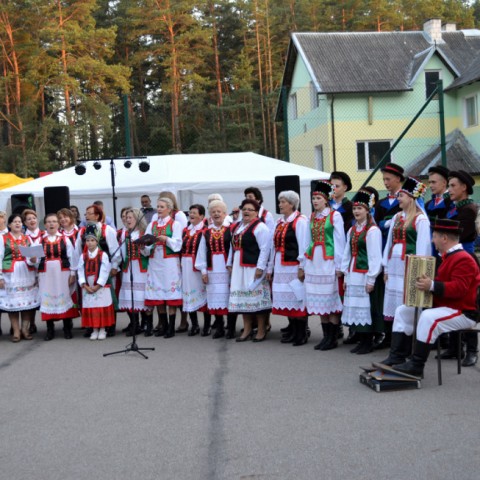 Powiększ obraz: 
