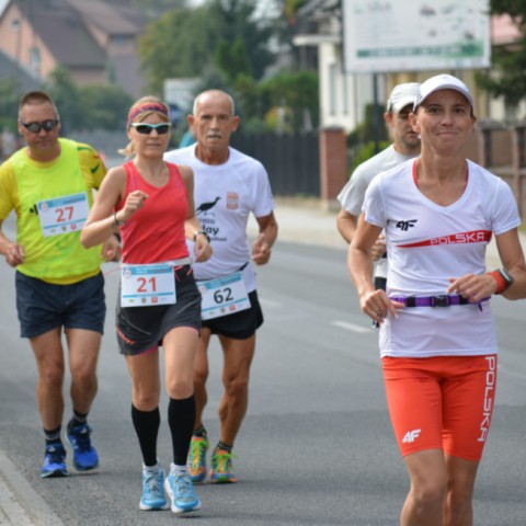 Powiększ obraz: 