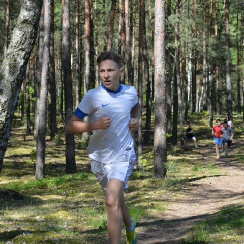 Powiększ obraz: 