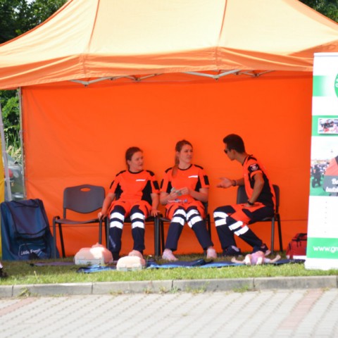 Powiększ obraz: 