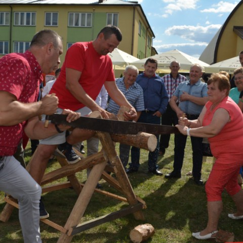 Powiększ obraz: 